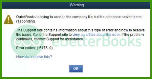 QuickBooks Error Code 6175 0 