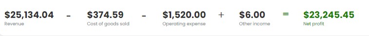 Profit & Loss Statement example