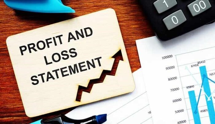 What is a profit and loss statement