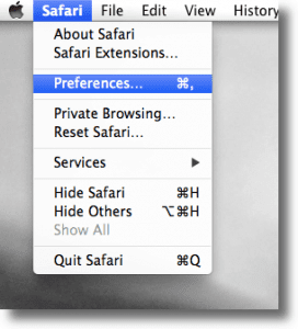 Safari Preferences to Clear Data