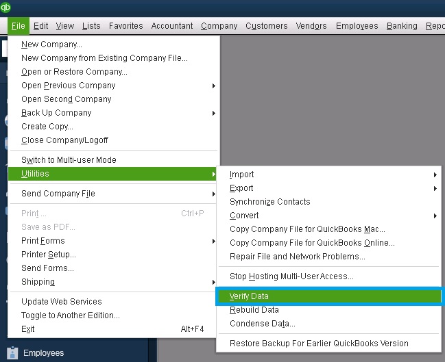 Verifying the Company File