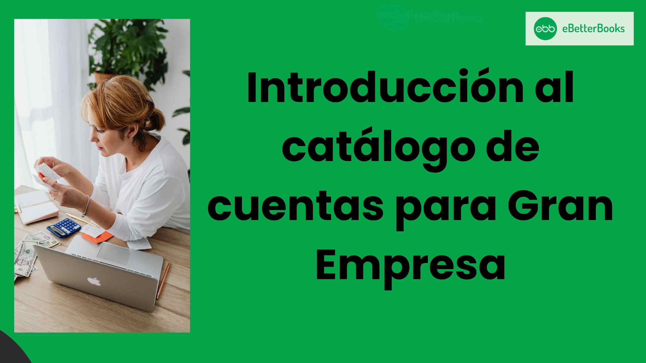 Introducción al catálogo de cuentas para Gran Empresa