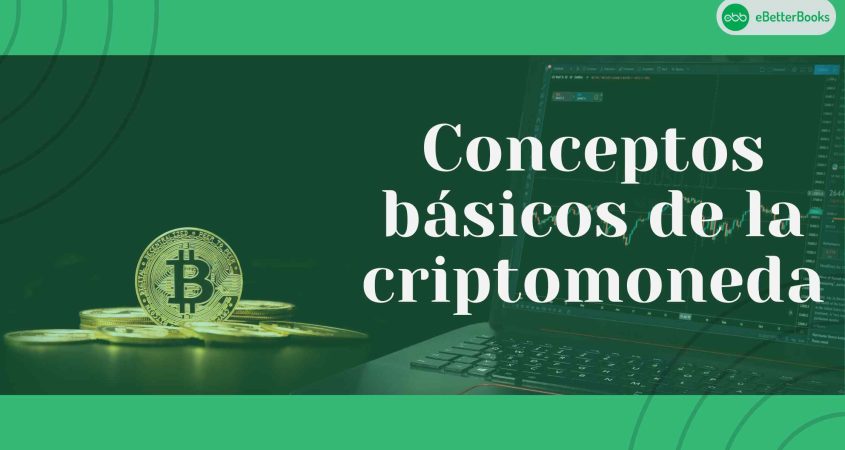 Conceptos básicos de la criptomoneda