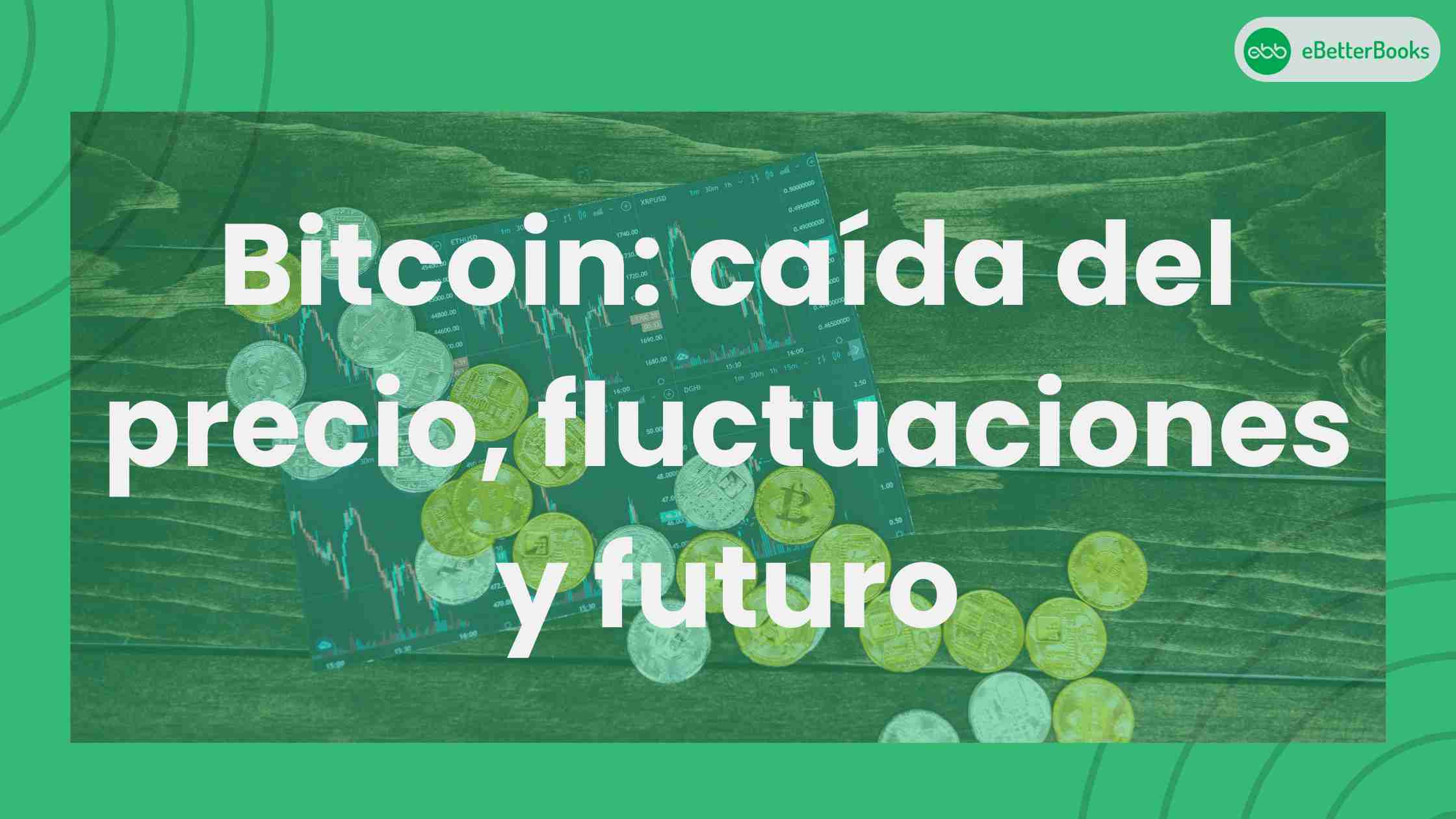 Bitcoin: caída del precio, fluctuaciones y futuro