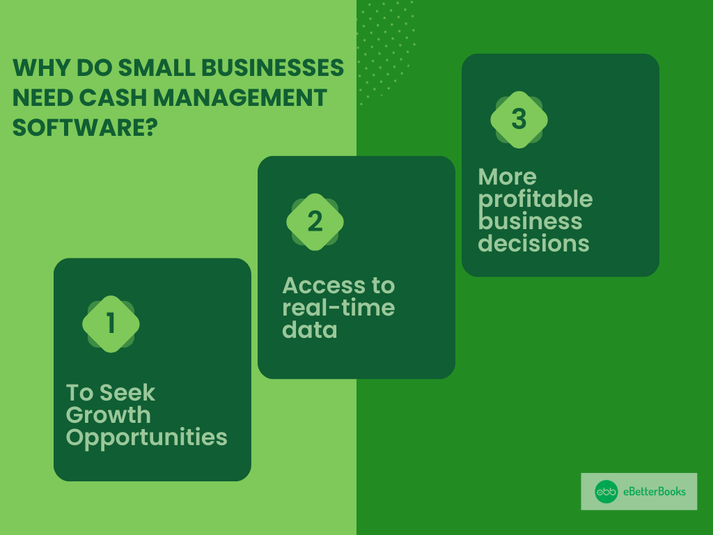 Small Businesses Need Cash Management Software