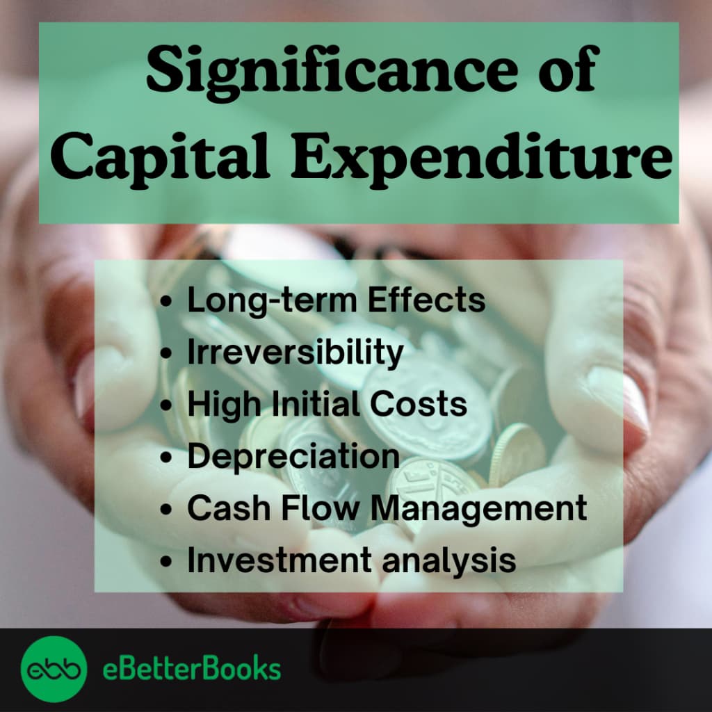 Significance of Capital Expenditures