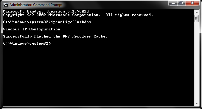 Enter ipconfig /flushdns in the Command Prompt window.