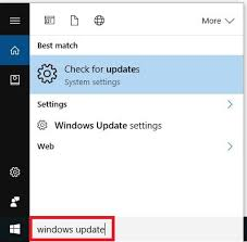 Windows Update → Check for Updates